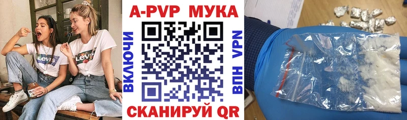 А ПВП СК  Коряжма 