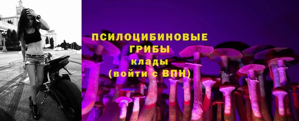 мет Балахна