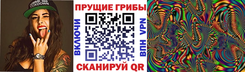 Псилоцибиновые грибы мицелий  Коряжма 